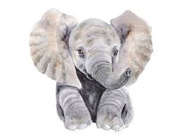 Large Elephant Print Baby Elephant Nursery Watercolor Baby Etsy Baby Animal Art Baby Animal Drawings Elephant Nursery Prints