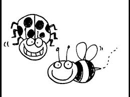 Insect set in color with a tribal pattern. How To Draw Cartoon Insects