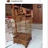 Potong salah satu bagian sangkar dengan ukuran 10 x 10 cm. 1