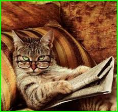 Check spelling or type a new query. Inspirasi 12 Mukadimah Paling Keren Dan Lucu Terbaru