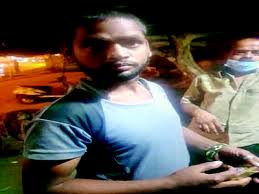 I answered that i would meet when my mutton chop arrived she said: Man Rapes Dog In Mysuru Act Caught On Camera