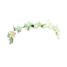 Flower Crown Crown Png Flower Crown Black Flower Crown