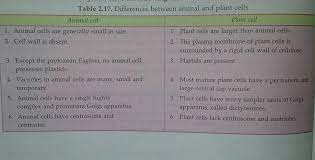 There's a belief that cell wall disappeared with the evolution which resulted in the development of animal cells with the more advanced cells, tissues, and organs that are more specified in their operation. What Are The Difference Between Plant Cell And Animal Cell Brainly In