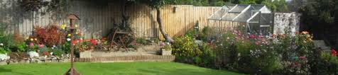 Guaranteed results · 40 years of experience · tailored lawn analysis Grassroots Lawn Treatment Services Home