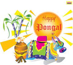 Happy Pongal Greetings Free Download Happy Pongal Happy Pongal Wishes Pongal Images
