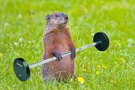 Hotels near broadwater hot springs & fitness. Springtime For Gym Time Trends 2014 03 13 20 04 30 Mizzfit