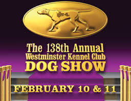 We're happy to have you, but please keep in mind the rules of the subreddit. 138th Westminster Kennel Club Dog Show Dog Show Akc Kennel