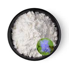 Supply Cyanotis Arachnoidea Extract ...