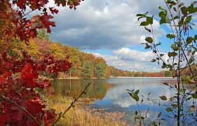 View campsite map, availability, and reserve online with reserveamerica. Poe Valley Lake Pennsylvania