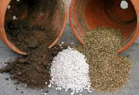 Also, it is important to know what sets it apart from the regular potting soils and the factors to consider when buying a mix for your seeds. Best Potting Mix Seed Starting Mix How To Make Best Potting Soil