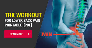 The economic impact of low back pain (lbp) is greater than $100 billion per year and causes more disability globally than any other condition (1,2). 10 Effective Trx Exercises For Lower Back Pain Printable Pdf