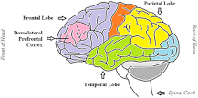 Image result