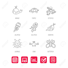Octopus Turtle And Dolphin Icons Jellyfish Whale And Ladybug
