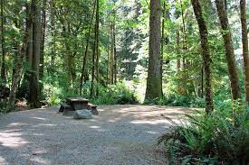 Check spelling or type a new query. 12 Top Rated Campgrounds On Vancouver Island Bc Planetware