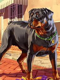 Chop life gta 5 online. Gta 5 Dog Chop Dog Sitting Dog Lovers Instagram Dogs