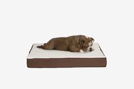 2 what makes a large dog bed special? 19 Best Dog Beds 2021 The Strategist New York Magazine