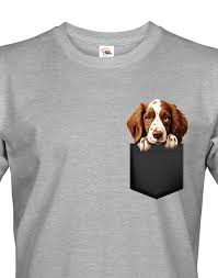 Image result for velššpringršpaněl