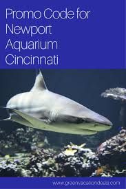Looking For Things To Do On Your Cincinnati Trip Find Out How To Save Money At Newport Aquarium In N Newport Aquarium Kentucky Travel Ohio Travel Destinations