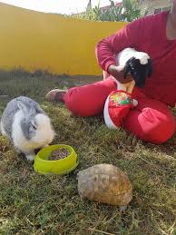 Follow us on social media or visit us at an upcoming event near you. Desert Oasis Petting Farm Tickikids Dubai