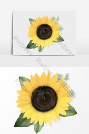 Jenis bunga yang akan dibahas pada artikel ini adalah gambar bunga untuk anak tk dan sd. Halaman Download 89 Gambar Bunga Matahari Yang Mudah Digambar Hd Gambar Pixab