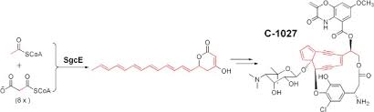 D3 11,0 мг, symphytum officinale (symphytum) (симфитум официнале (симфитум)) d6 11,0 мг, nadidum (надидум) d8 2,2 мг, coenzym а (коэнзим a) d8 2,2 мг, sanguinaria canadensis. Identification Of A Nonaketide Product For The Iterative Polyketide Synthase In Biosynthesis Of The Nine Membered Enediyne C 1027 Chen 2010 Angewandte Chemie Wiley Online Library