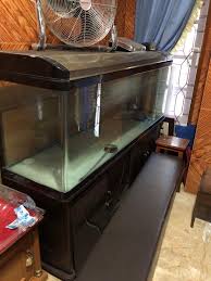 Karena tidak mengganggu pemandangan dan juga mempnyai kemampuan menyaring yang baik. Aquarium Besar Lengkap Dengan Filter Lampu Dan Lemari Perabotan Rumah Di Carousell