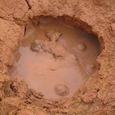 images?q=tbn:ANd9GcTzTkbsxfzrCqEsmMFe1VO