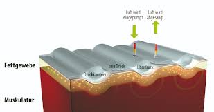 Postpartum belt belly wrap slim body shaper support waist recovery girdle corset. Herzlich Willkommen Im Hexagon Fitness In Wunstorf Hexagon