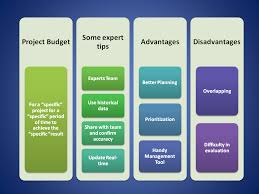 Labor effort is entered in days (can easily be switched to. Project Budget Process Tips Example Advantages Disadvantages