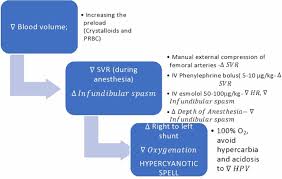 Systemic flaws in the design and construction of the vehicles. Management Of A Parturient With Uncorrected Tetralogy Of Fallot In Shock An Anesthetic Challenge Bmj Case Reports