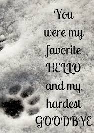 You Were My Favorite Hello And My Hardest Goodbye Notebook Journal Hello Goodbye Grief Petloss Paws Sympathymessages Dog Quotes Dog Poems Animal Quotes