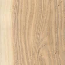 Black And White Ebony Wood Database White Poplar The Wood Database Lumber Identification Hardwoods Concrete Wood Woodworking Wood Wood