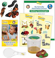 Amazon.com: Insect Lore Live Cup of Caterpillars with Dual Lens Magnifier,  Butterfly Life Cycle Stages, and STEM Activity Journal : Toys & Games