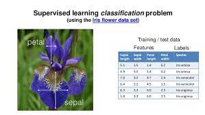 Exploration Of Iris Dataset Using Scikit Learn Part 1 By Jalal Mansoori Analytics Vidhya Medium