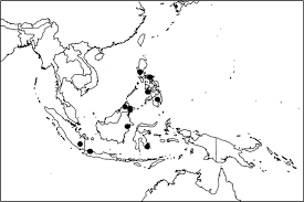 Image result for Premna velutina