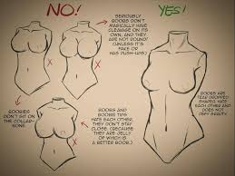 Anatomy human body organs female human body anatomy, human body organs, body organs diagram. How To Draw A Female Upper Body Drawings Anatomy Drawing Guided Drawing