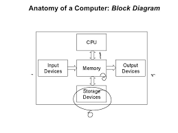 Diagram Of Anatomy Of Computer Brainly In