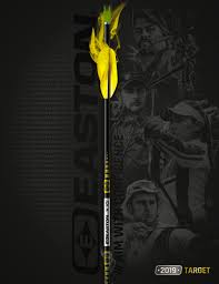 Target Arrows Easton Archery Indoor Outdoor Arrows 3d