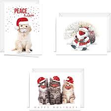 Shop funny 2020 holiday cards created by christmastee. Amazon Com Masked Holiday Card Set 24 Covid 19 Christmas Card Assortment 6 1 4 X 4 1 8 Funny 2020 Quarantine Christmas Cards Office Products