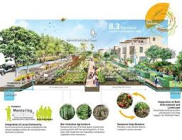 Pollinator Path The Next Step Up From The Urban Stoop Planter Urbanlandscapearchitecture Urban Landscape Landscape Plans Landscape Architecture