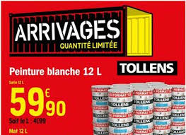Offre Peinture Blanche 12 Litres Tollens Chez Brico Depot