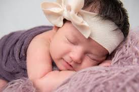 Photography Videography