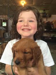 Pretty Lucky Penny and Pipin' Hot Piper AKC Golden Retriever