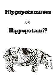 Plural Of Hippopotamus Plurals Writing Prompts For Writers Commonly Confused Words