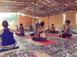 Check spelling or type a new query. 4 Weeks 200hrs Intensive Training Mukta Tantra Yoga Of Sounds Vibrations Kundalini Chakras Goa Bookyogaretreats Com