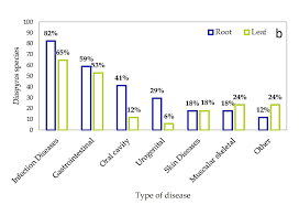 Image result for Diospyros loureiriana