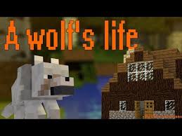 Ce jeu vidéo de construction et d'exploration, absorbé par microsoft il y a tout juste un an, est aussi bien utilisé. Fr Minecraft Video Minecraft La Vie D Un Loup