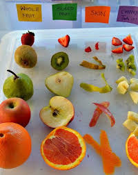 Pin By Fun At Home With Kids On Activities For Preschoolers And Older Food Activities Senses Activities Fruit