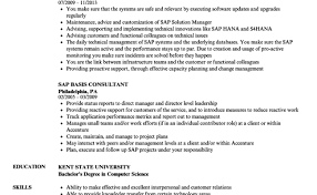 Prior experience as a vendor manager. Sap Basis Consultant Resume Samples Velvet Jobs Cute766