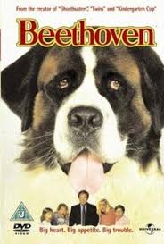 Several sequels followed, beginning with 1993 beethoven's second. Beethoven Quotes Movie Quotes Movie Quotes Com
